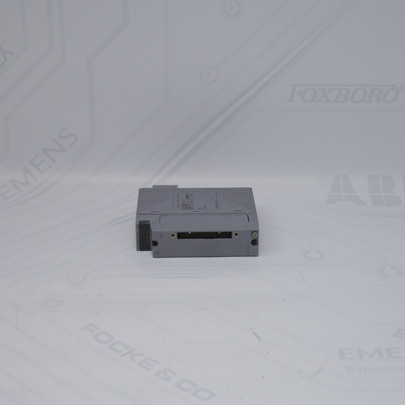 AAI143-H50 S1 YOKOGAWA Analog Giriş Modülü