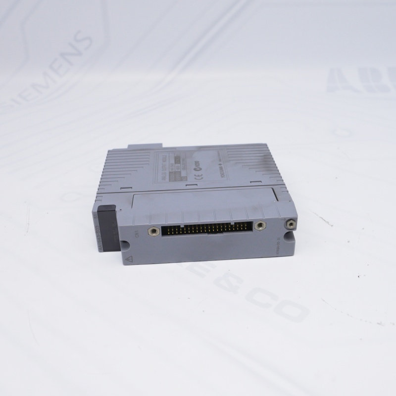 AAI543-S03 S1 YOKOGAWA Analog Çıkış Modülü