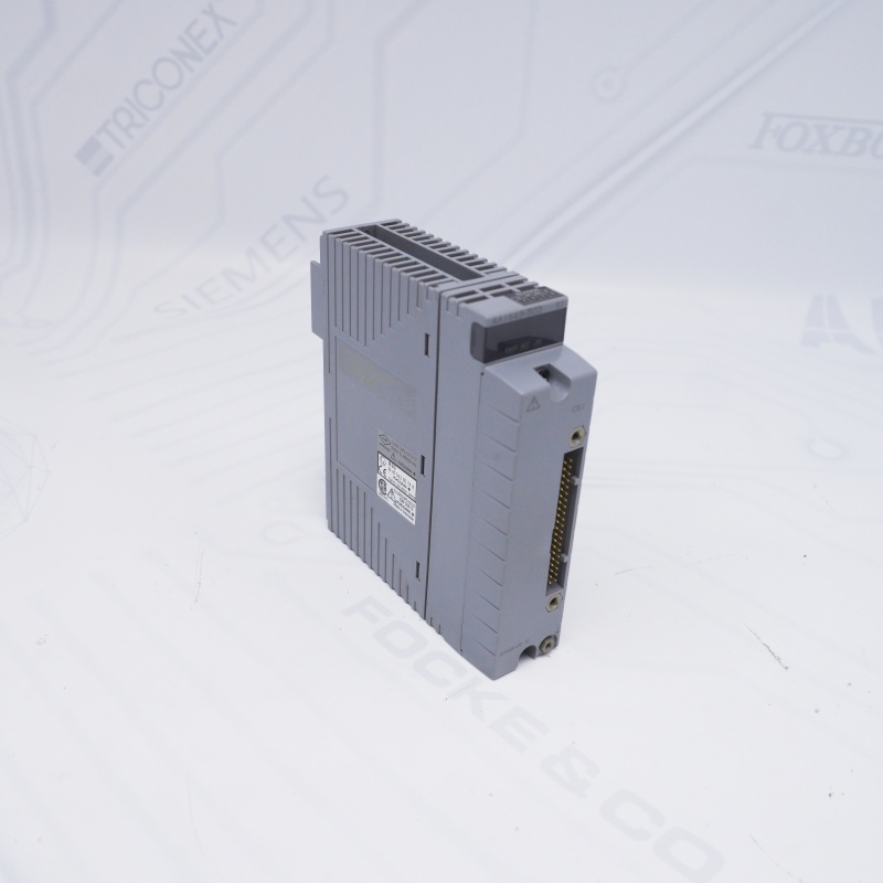 AAI543-S03 S1 YOKOGAWA Analog Çıkış Modülü
