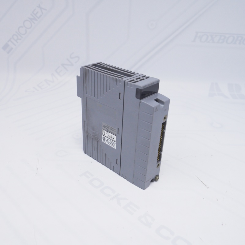AAP135-S03 S2 YOKOGAWA Darbe Giriş Modülü
