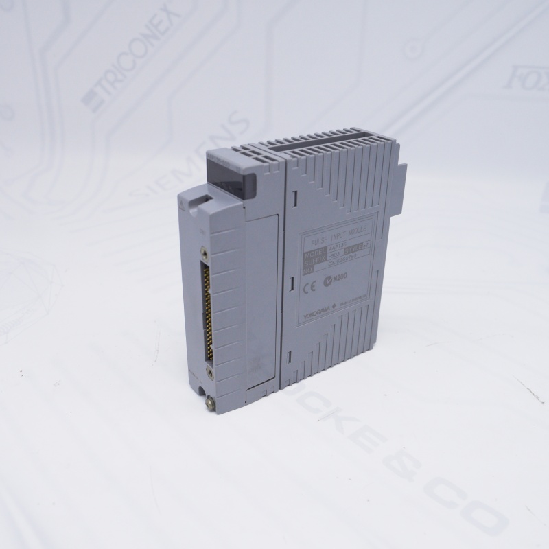 AAP135-S03 S2 YOKOGAWA Darbe Giriş Modülü