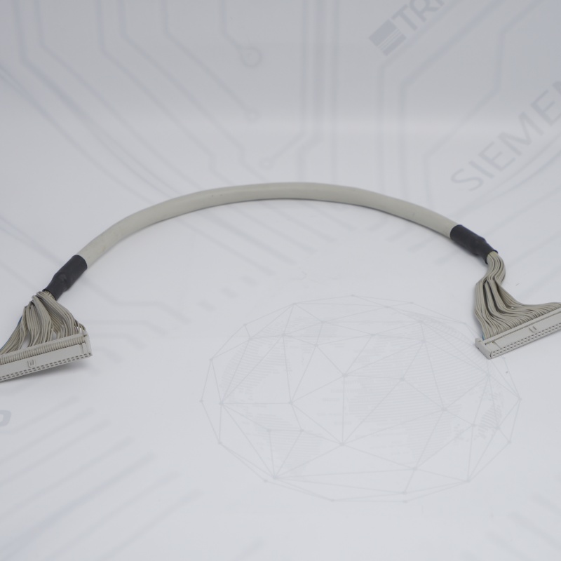 BV7032-0 HIMA Veri Bağlantı Kablosu