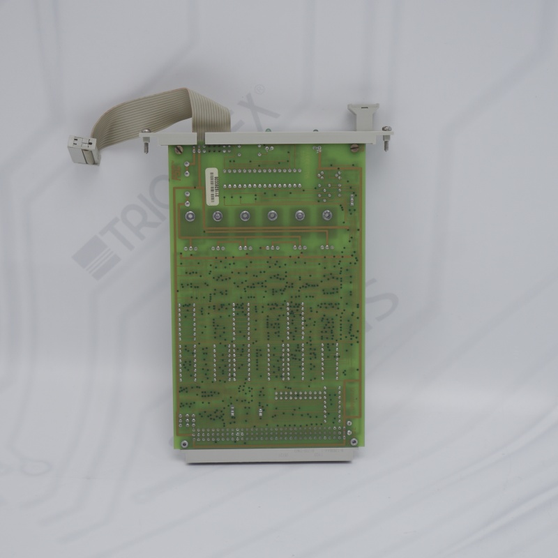 10005/1/1 HONEYWELL Bekçi Köpeği Modülü