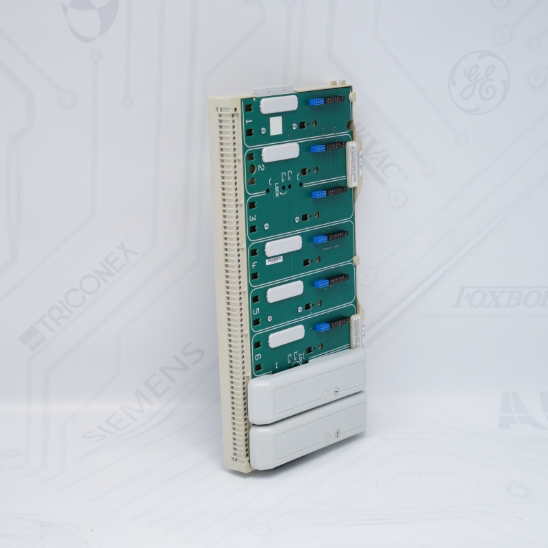 8709-CA-08 GE PAC8000 Giriş Çıkış Taşıyıcısı