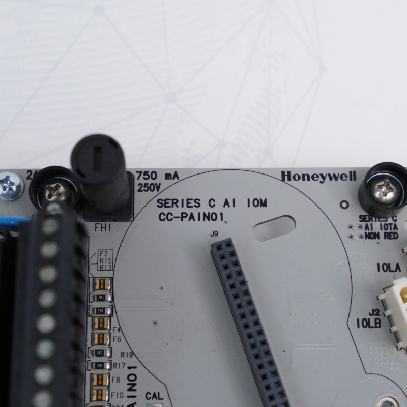 CC-PAIN01 51306513-175 Módulo de entrada analógica Honeywell