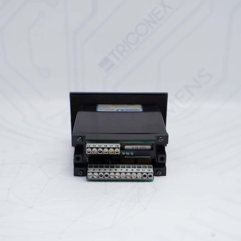 DPF64-SQRT Omega Analog Giriş Oran Ölçer