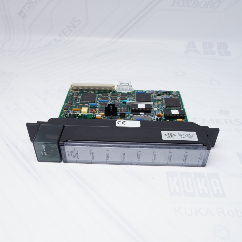 IC697ALG230 GE Taban Dönüştürücü Modülü