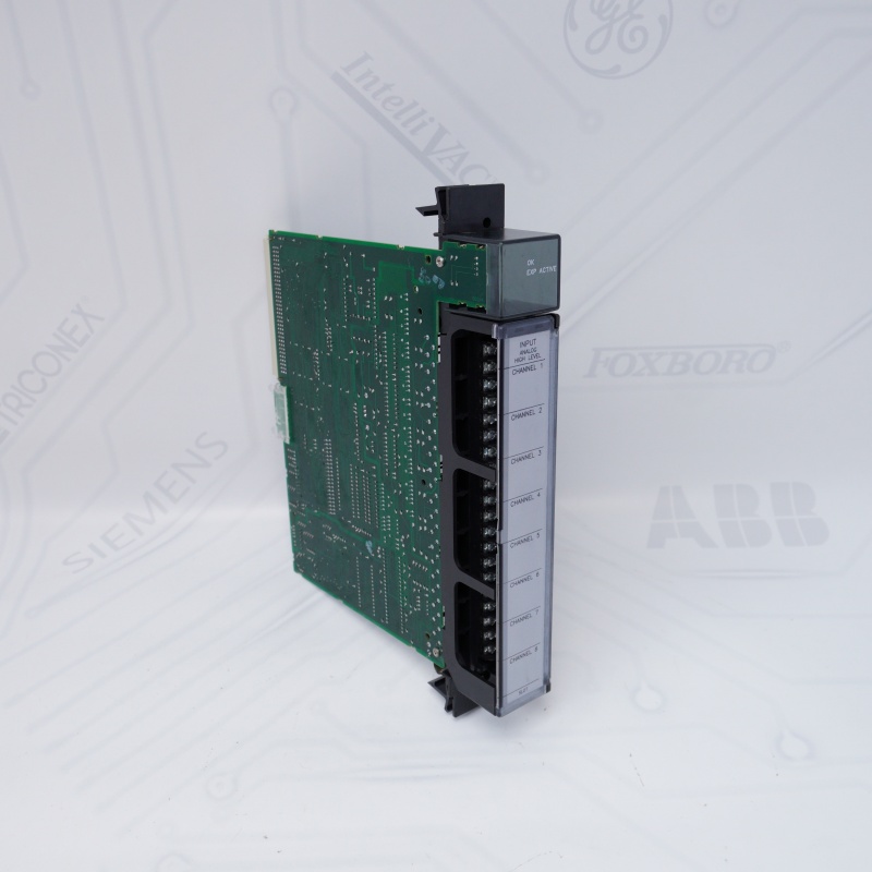 IC697ALG230 GE Taban Dönüştürücü Modülü