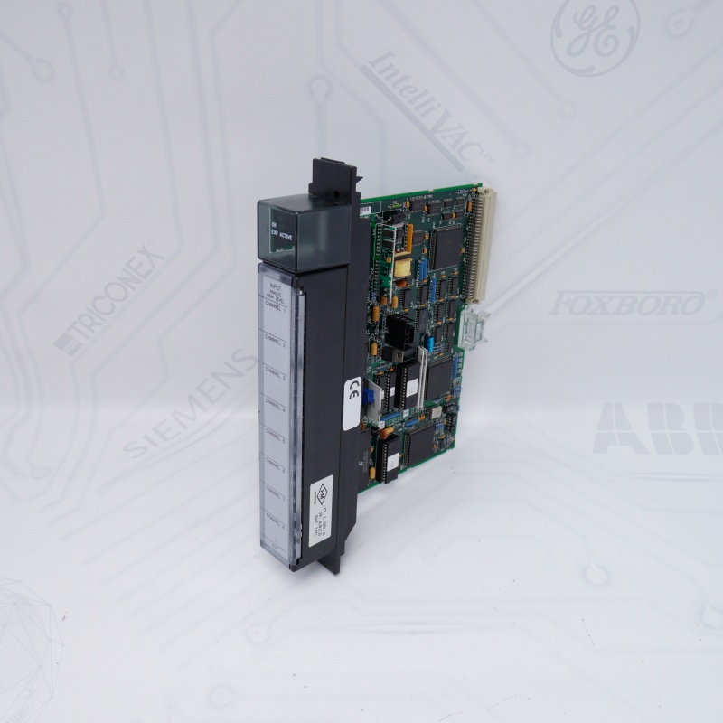 IC697ALG230 GE Taban Dönüştürücü Modülü