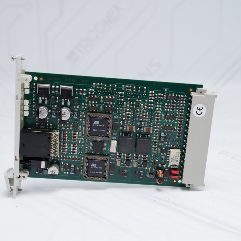 52100 Hima ZAMAN GECİKTİRME MODÜLÜ