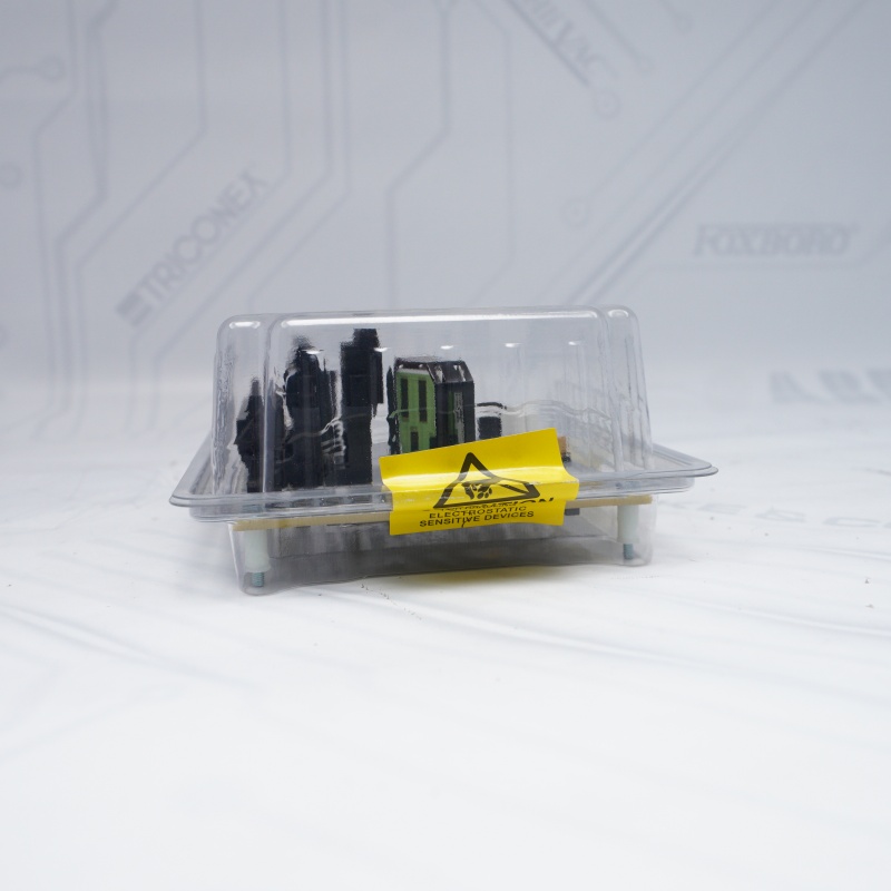 CC-TAIX01 51308363-175 Honeywell Analog Giriş Modülü