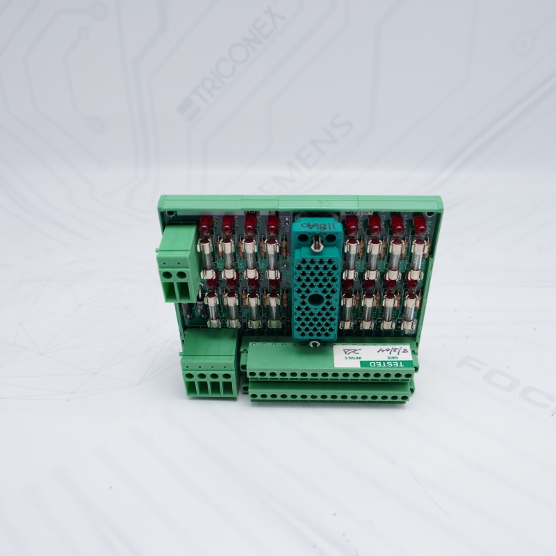 3000510-810 Triconex Terminal Panel Modülü