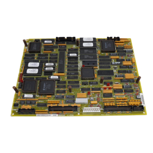 DS215SDCCG1A