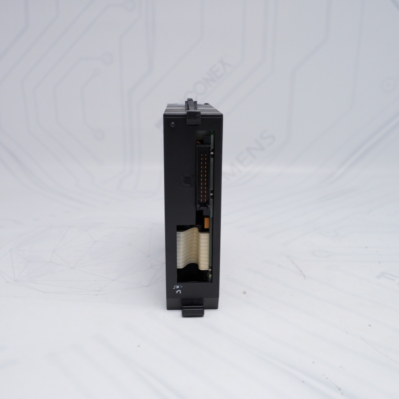 IC693ALG222E GE 16 Kanallı Analog Voltaj Modülü
