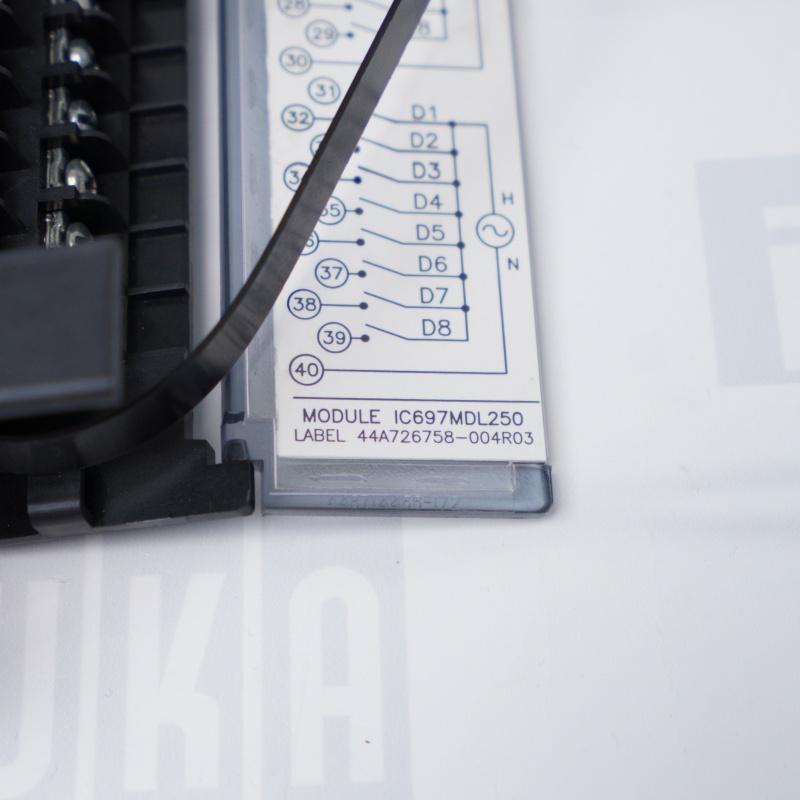 IC697MDL250 GE Ayrık Giriş Modülü