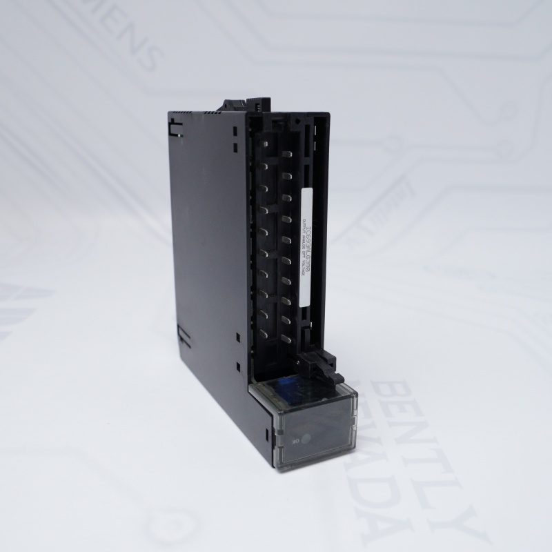 IC693ALG390D GE 2 Kanallı Analog Voltaj Çıkış Modülü