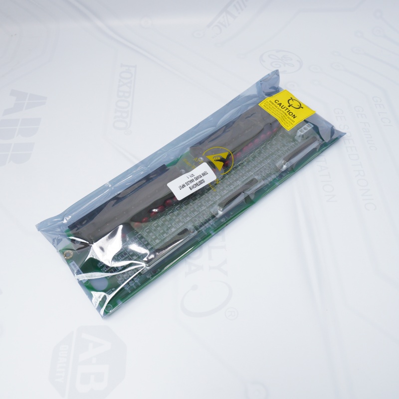 IS200TBCIH1BCD GE Terminal Modülü