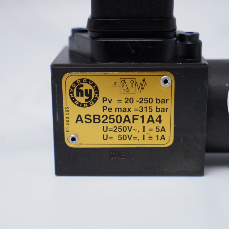 ASB250AF1A4 HYDRAULIK RING Hidrolik Halka Valfi