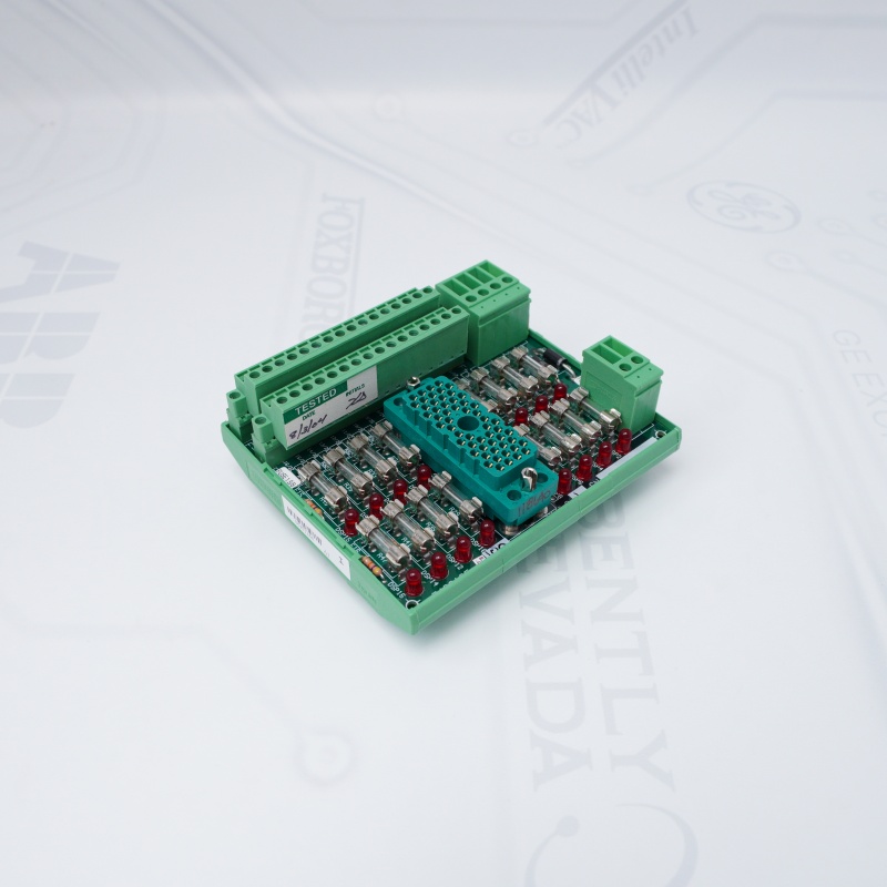 3000510-180 Triconex Terminal Bloğu