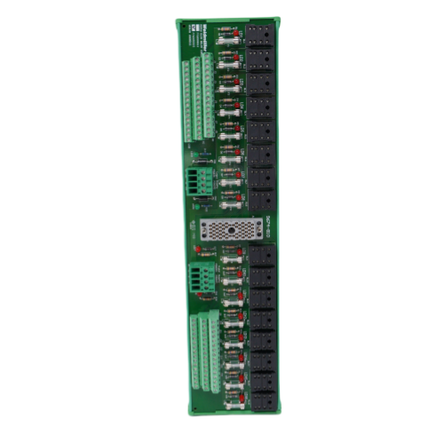 Triconex 9674-810