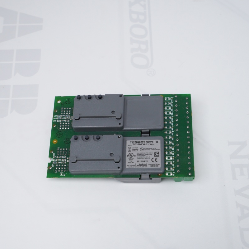 T9802 ICS TRIPLEX Analog Giriş Modülü