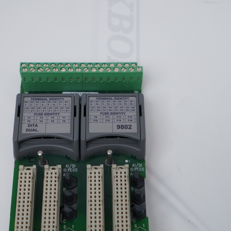 T9802 ICS TRIPLEX Analog Giriş Modülü