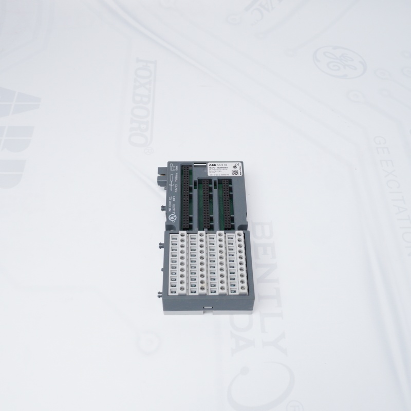 TU515C2 1SAP212200R0001 ABB Kontrol modülü