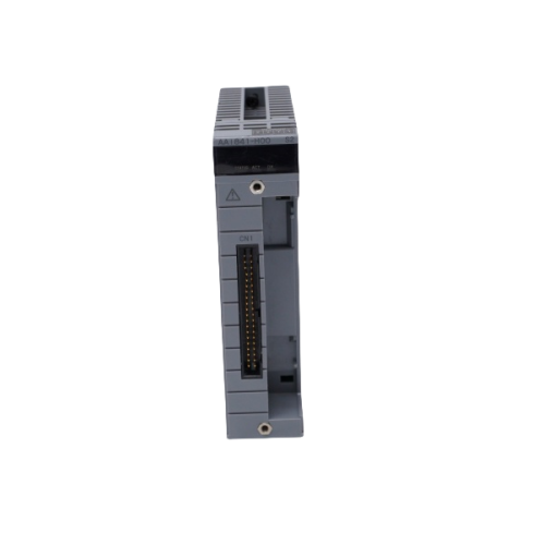 ANALOG INPUT / OUTPUT MODULE ANALOG INPUT / OUTPUT MODULE