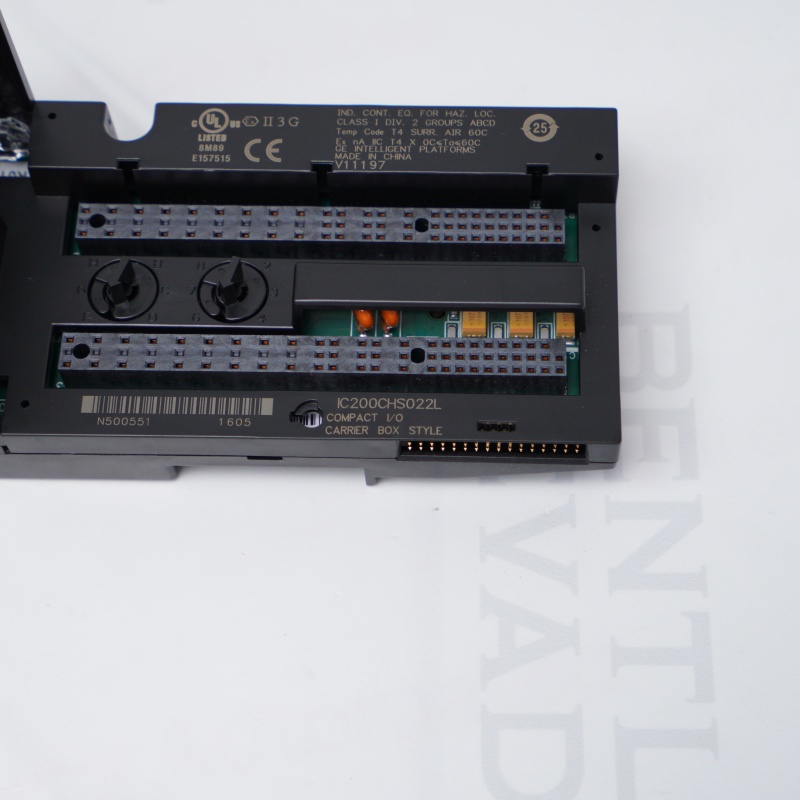 IC200CHS022L GE Kompakt G/Ç
