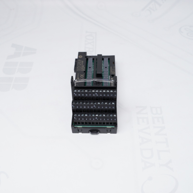 IC200CHS022L GE Kompakt G/Ç