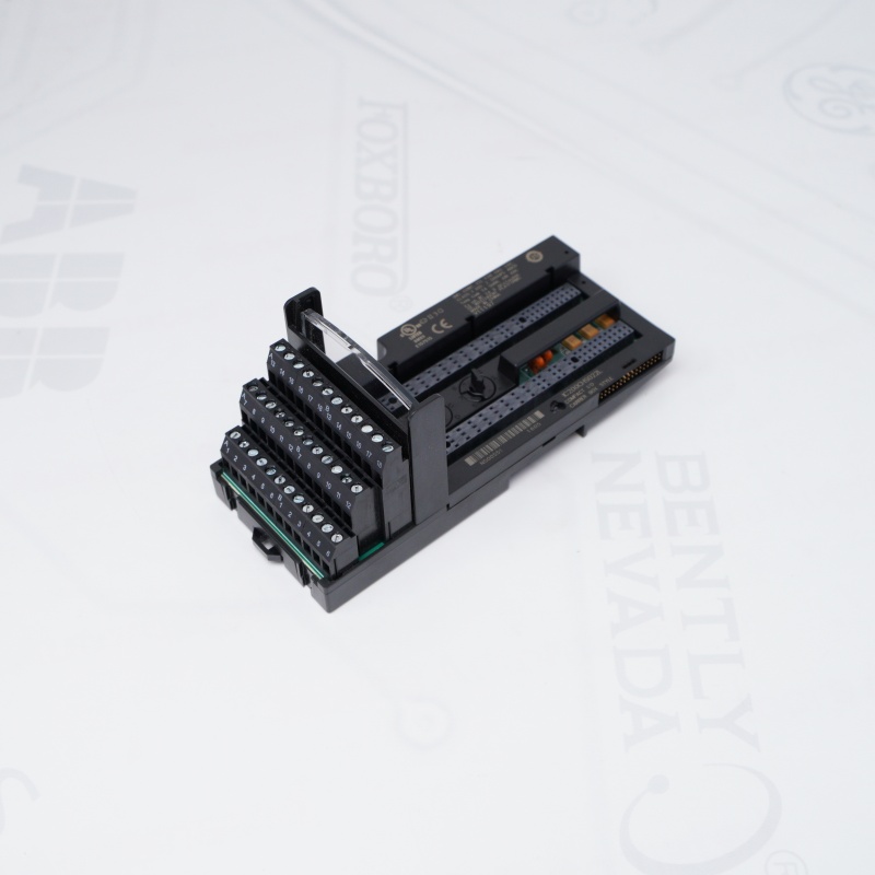 IC200CHS022L GE Kompakt G/Ç
