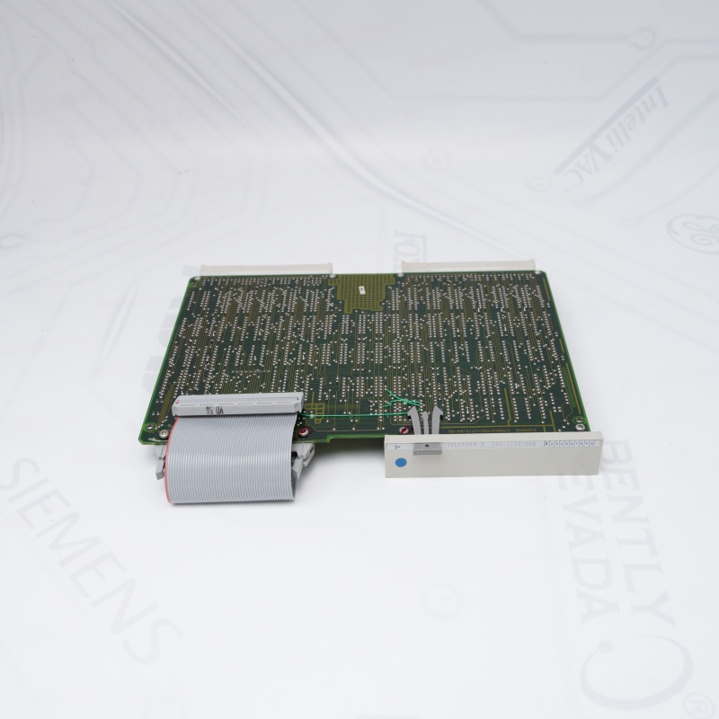 6DS-1121-8BB Simens Merkez Kontrolör Seçmen Modülü