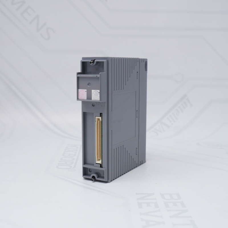 AAP135-S50 S2 YOKOGAWA Darbe Giriş Modülü