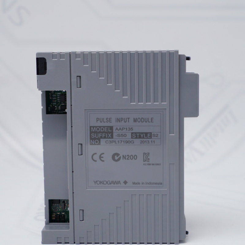 AAP135-S50 S2 YOKOGAWA Darbe Giriş Modülü