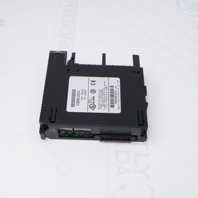 IC693ALG221G | General Electric Analog Giriş Modülü