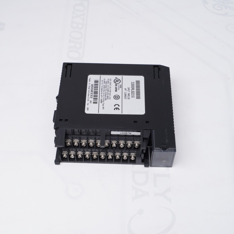 IC693ALG221G | General Electric Analog Giriş Modülü