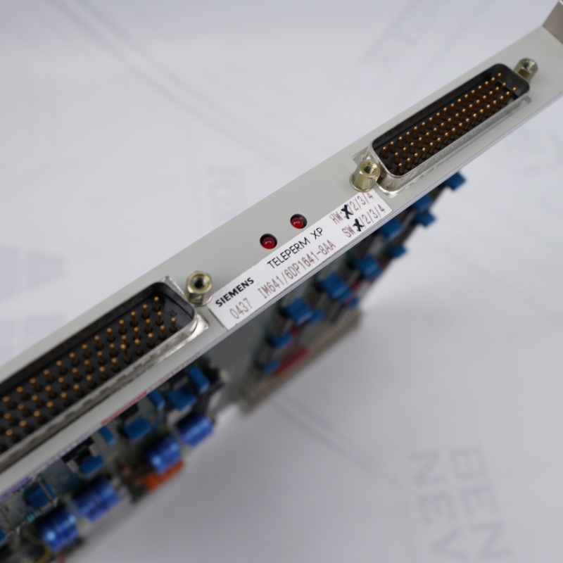 6DP1641-8AA SIEMENS KONTROL MODÜLÜ