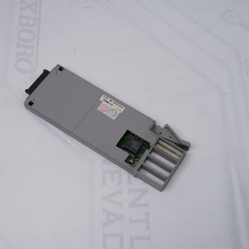 AAM11 S2 YOKOGAWA Akım Voltaj Giriş Modülü