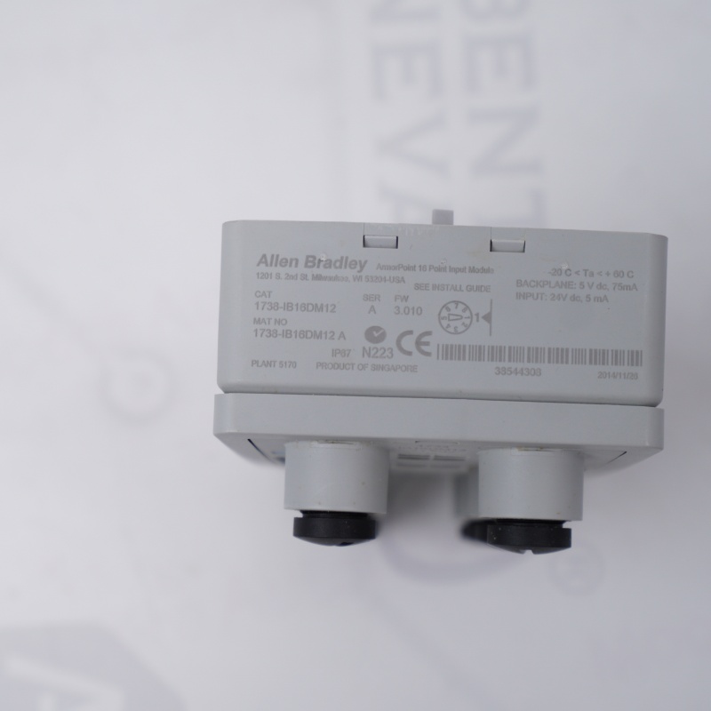 1738-IB16DM12 Allen Bradley 16 Nokta Giriş Modülü