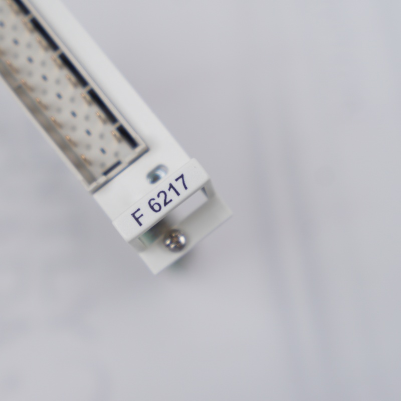 F6217 HIMA ANALOG GİRİŞ MODÜLÜ