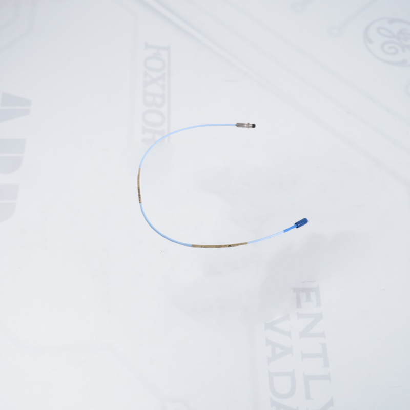 330105-02-12-05-02-00 Bently Nevada 3300 XL 8 mm Ters Montajlı Problar