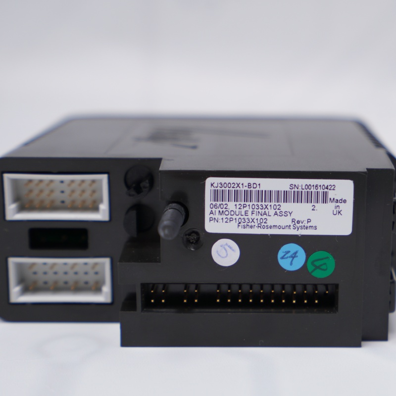 1C31194G01 EMERSON Analog Giriş Kartı