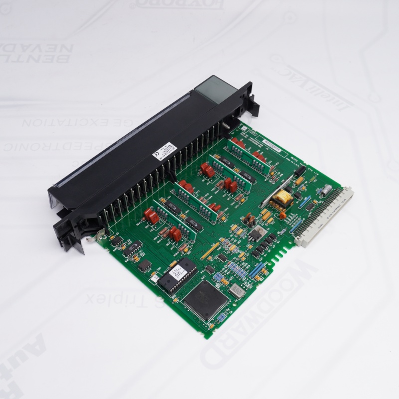 IC697ALG440General Electric Analog Giriş Genişletme Modülü