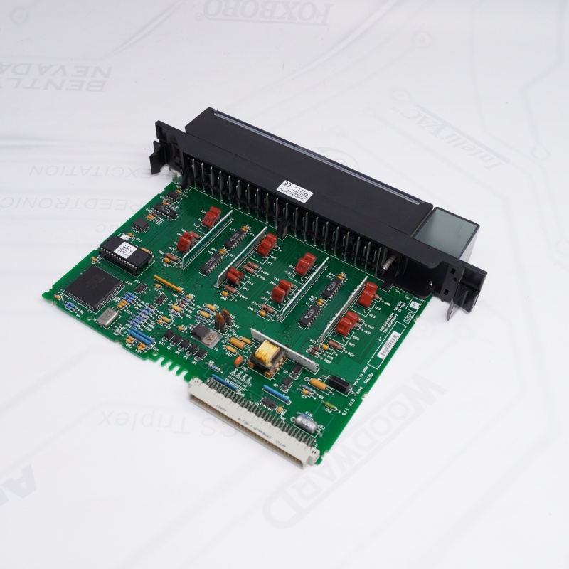 IC697ALG440General Electric Analog Giriş Genişletme Modülü