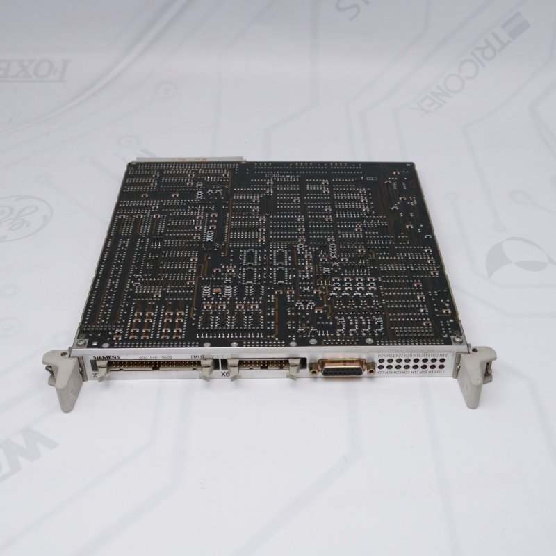 6DD1640-0AD0 Siemens G/Ç Modülü