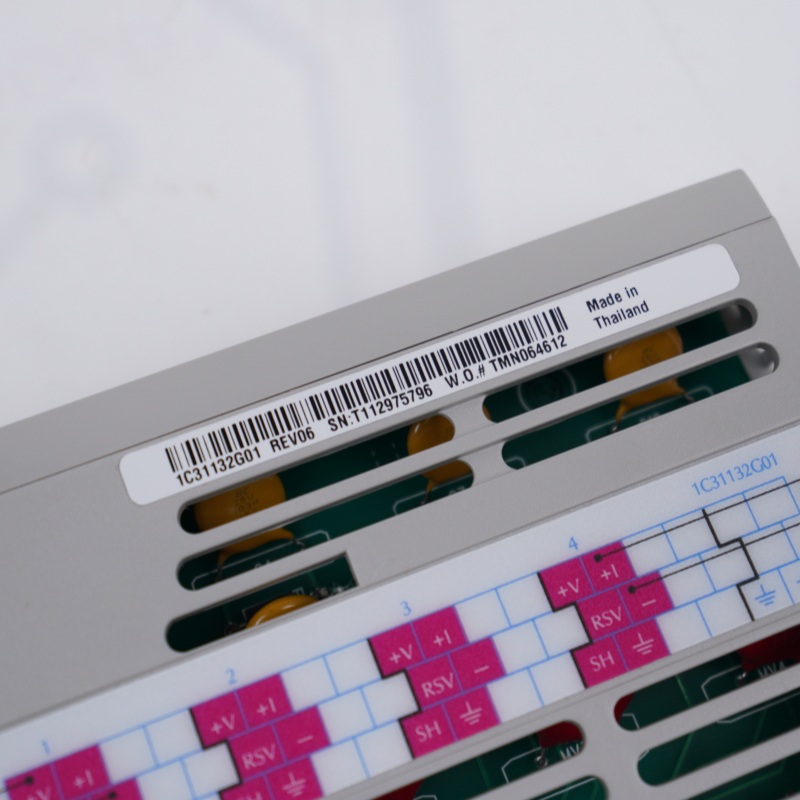 Módulo de Saída Analógica OVATION 1C31132G01