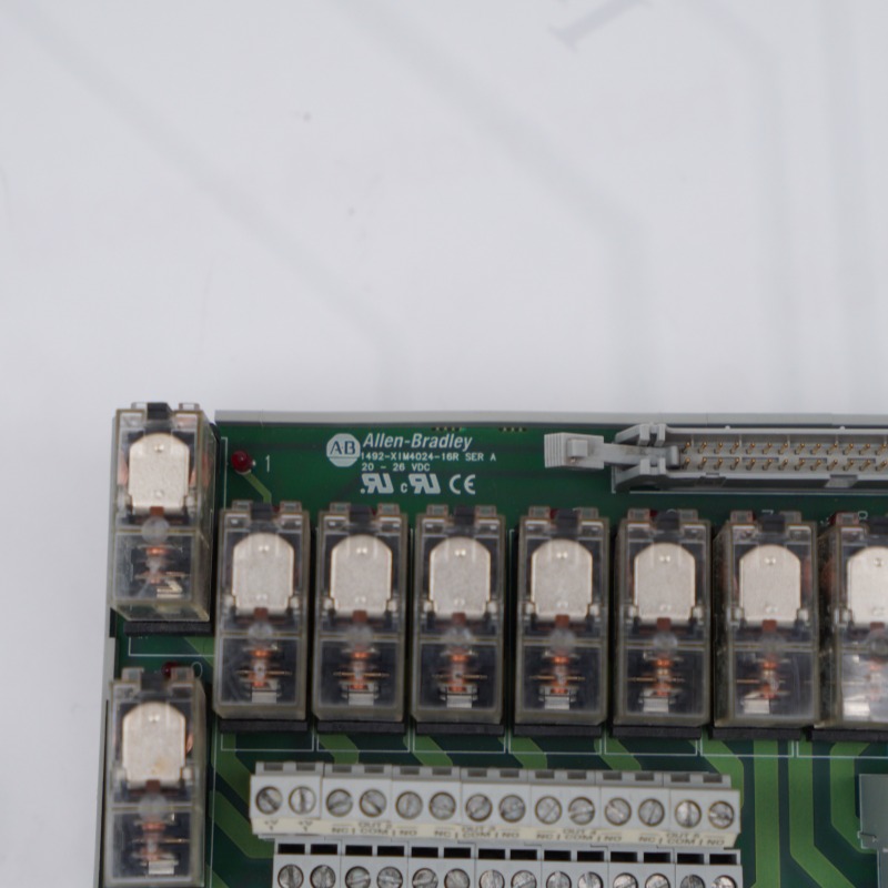 Allen Bradley 1492-XIM4024-16R Relay Master Digital Module