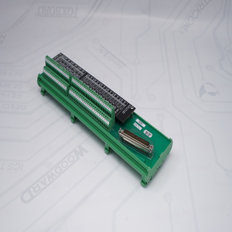 Woodward PLC Terminal Module