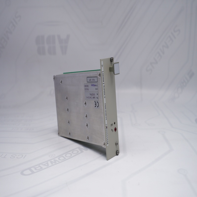 C79451-Z1038-U13 Power Supply Module