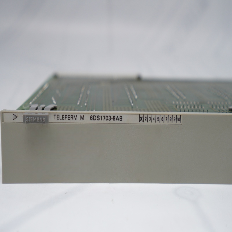 6DS1703-8AB SIEMENS Measurement Point Extension Module Teleperm M